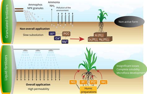 What Is Liquid Fertilizer: A Multifaceted View on Its Advantages and Usage